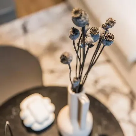 Haya Historic - Malbec