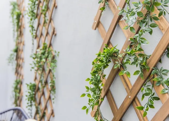 Haya Historic - Malbec Daire Lahey