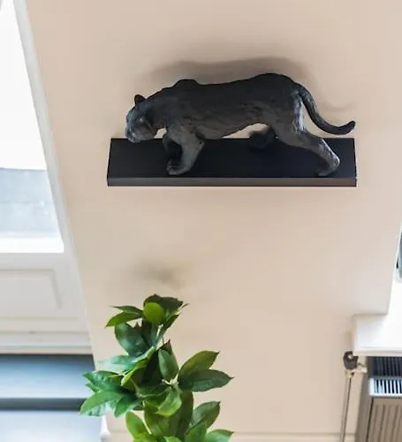 Haya Historic - Malbec Daire