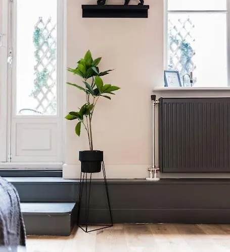 Haya Historic - Malbec *