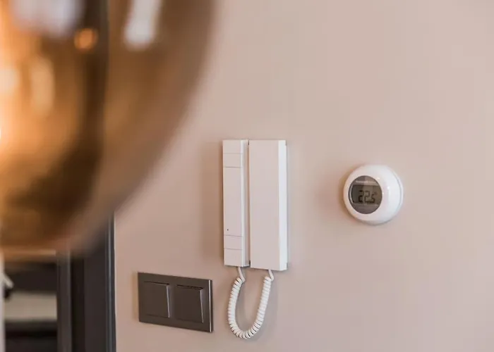 Haya Historic - Malbec Daire *